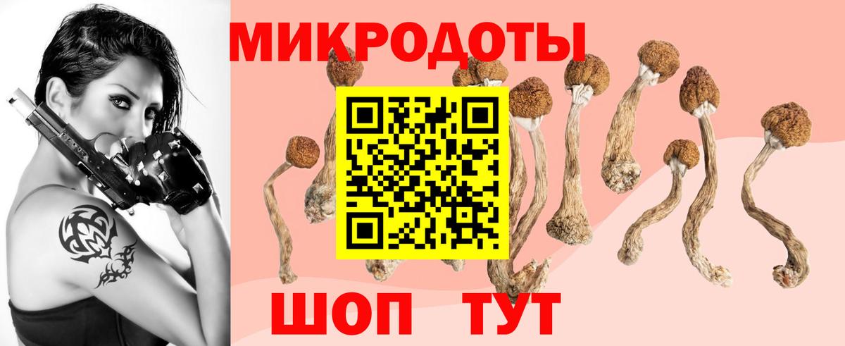 Пенза  Галлюциногенные грибы Cubensis  Вход с VPN 